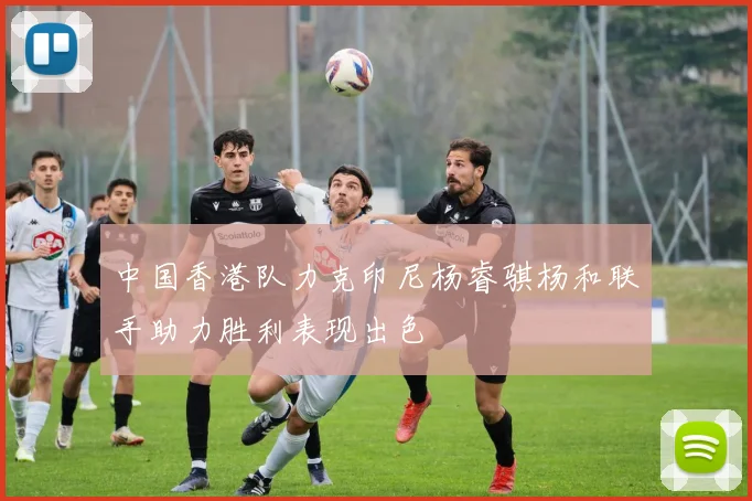 中国香港队力克印尼杨睿骐杨和联手助力胜利表现出色